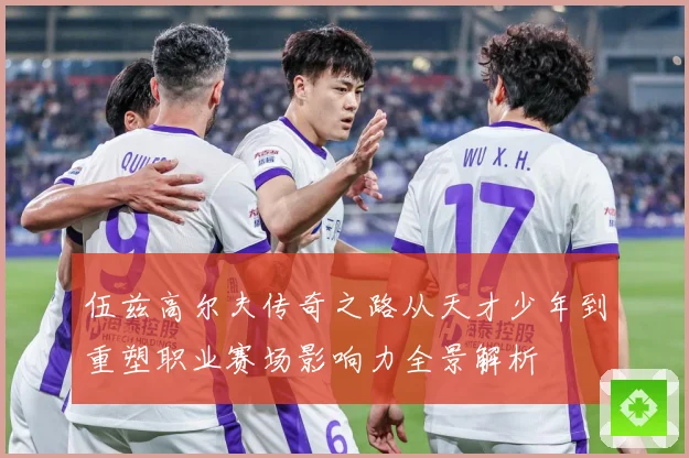 伍兹高尔夫传奇之路从天才少年到重塑职业赛场影响力全景解析