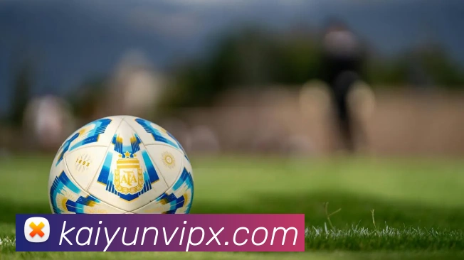 开云平台展示图